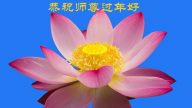 大庆法轮功学员恭祝李洪志大师新年好