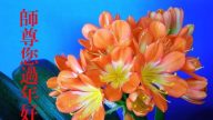 吉林省法轮功学员恭祝李洪志大师新年好