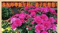 来自四十个行业的大陆大法弟子恭祝李洪志大师新年好