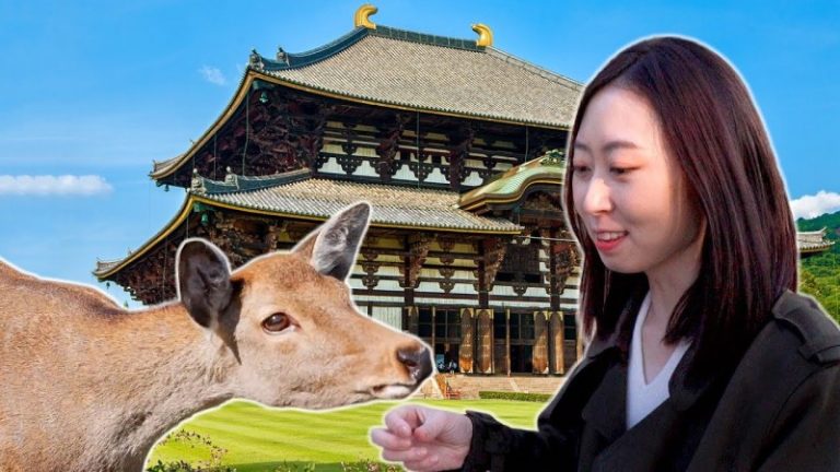 慧秀在日本：與中國有淵源的奈良東大寺 與 懷石料理