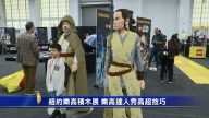 紐約樂高積木展 樂高達人秀高超技巧