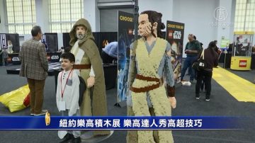 纽约乐高积木展 乐高达人秀高超技巧