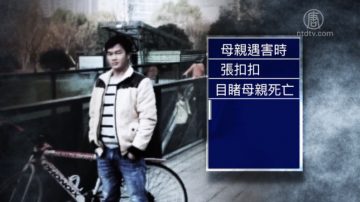 【热点互动】汉中复仇记 张扣扣是罪犯还是英雄？