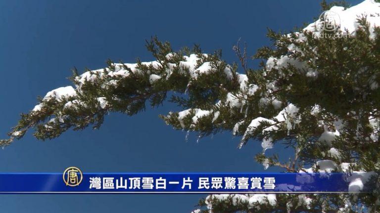 灣區山頂雪白一片 民眾驚喜賞雪