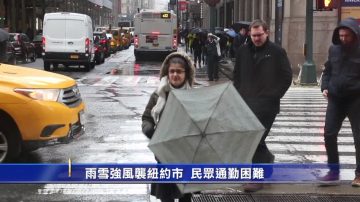 雨雪强风袭纽约市 民众通勤困难