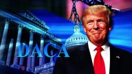 马里兰联邦法官：川普终结DACA合法