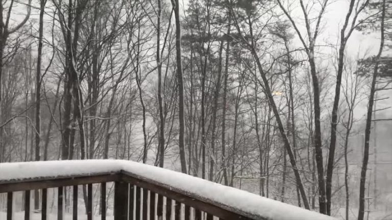 冬季風暴再襲美東 紐約飄鵝毛大雪12英寸