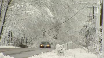 纽约再拉响冬季警报 风雪交加路湿滑 Amtrak停摆