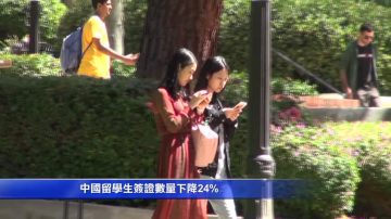 留學生減少近兩成 部分大學財政吃緊