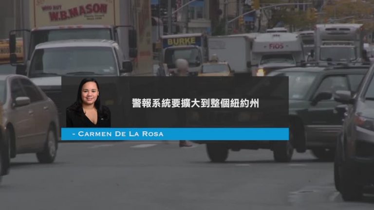 車禍逃逸司機難隱身 紐約啟用新警報系統