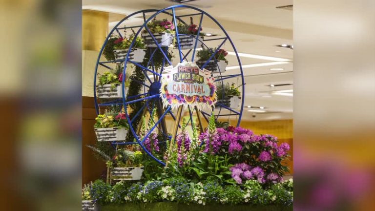 【灣區週末好去處】18年3月第4期