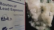 防止新弗林特再现 根除“铅毒”害儿童 环保署长点名纽约
