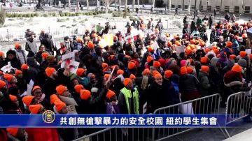 共创无枪击暴力的安全校园 纽约学生集会