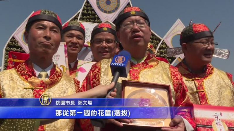 海芋季裡的花田囍事 再現古禮娶親