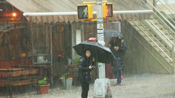 东北风暴将至 纽约迎狂风暴雨