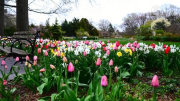 春回大地 纽约皇后区植物园建“台湾花园”