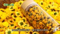 美麗心台灣：銀行行員 熱帶種植馴化有機黃杭菊