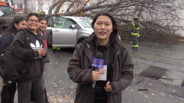 暴风吹袭 纽约树木连根拔起 记者现场直击