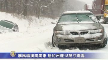 暴风雪扑向美东 纽约州迎18英寸降雪