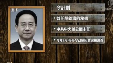 令計劃等38人政協委員資格被撤銷