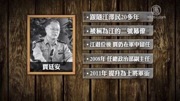 江澤民也不敢反對習近平連任？大祕賈廷安：我贊成