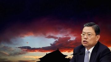 打虎书记赵乐际职务有变？跨界出席政协会议引关注