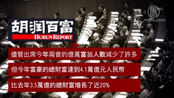 中共兩會富豪代表減少 總財富反增20%