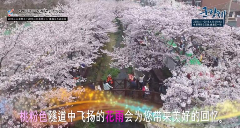 【廣告】4月1日~10日 36萬棵巨櫻花綻放