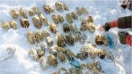 毛骨悚然 中俄邊境驚現54隻人類斷掌