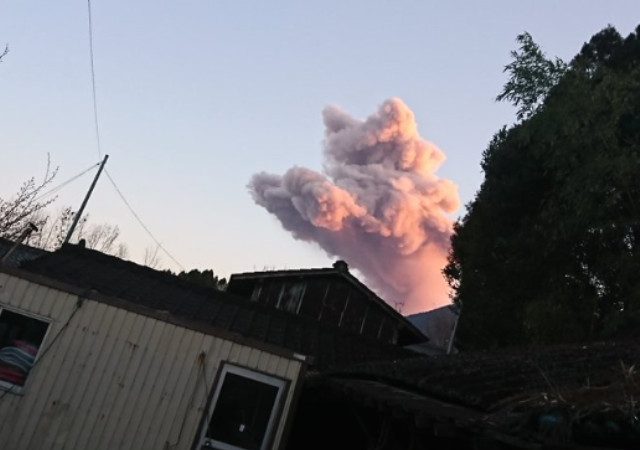 日本新燃岳火山喷发 火山灰酷似粉红小猫萌照热传