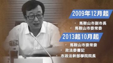 安徽省馬鞍山市宣傳部長蘇從勇落馬