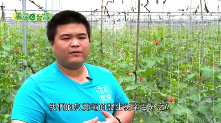 美麗心台灣：青農羅秉諺 在石頭地種出成就
