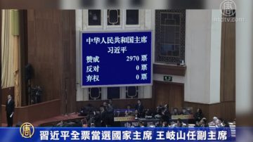 習近平全票當選國家主席 王岐山任副主席