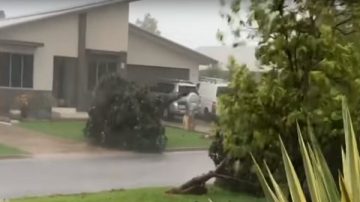 热带气旋强袭澳洲 狂风豪雨断水断电