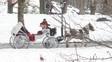 第四波風暴過後 紐約市積雪破百年紀錄