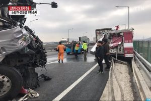 為救受困狗兒 韓3女消防員遭卡車撞擊身亡