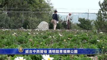 結合中西習俗 清明踏青福樂公園