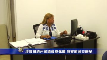 涉貪紐約州眾議員夏佩蘭 庭審前遞交辭呈