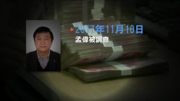 十九大後首虎 中共人大環保委孟偉被雙開