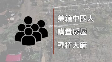 中国人加州买房种大麻 联邦没收百栋房产