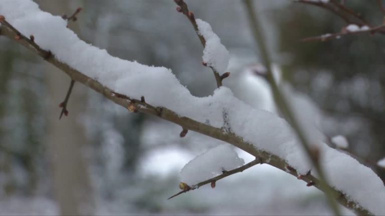 冬季不肯離去 紐約將再迎第二場4月雪
