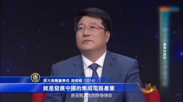 趙偉國突辭紫光兩董座 中國併購模式受阻