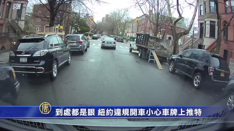到處都是眼 紐約違規開車小心車牌上Twitter