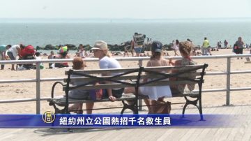 紐約州立公園熱招千名救生員