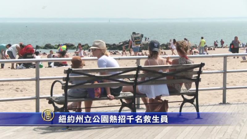 纽约州立公园热招千名救生员