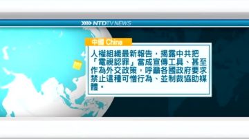 4月11国际新闻简讯