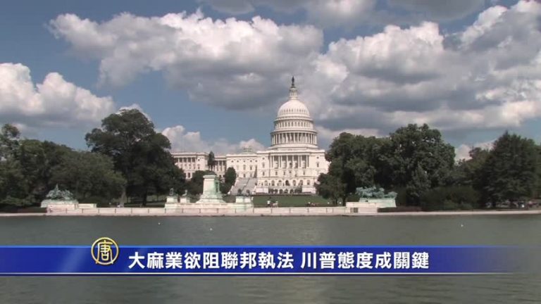 大麻業欲阻聯邦執法 川普態度成關鍵