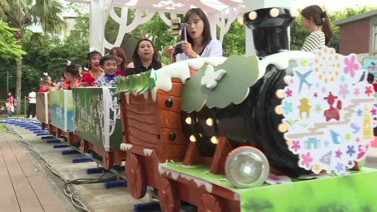桃園客家桐花季開跑 小火車賞桐花超吸睛