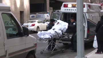 纽约布朗士爆军团病 1人死亡 卫生局调查