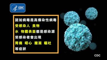 美名校爆诺如病毒 纽约州50学生染病